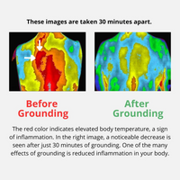 TrueGrounding™ Bundle