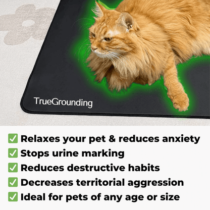 TrueGrounding™ Pet Mat