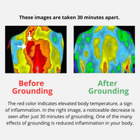 TrueGrounding™ Bundle